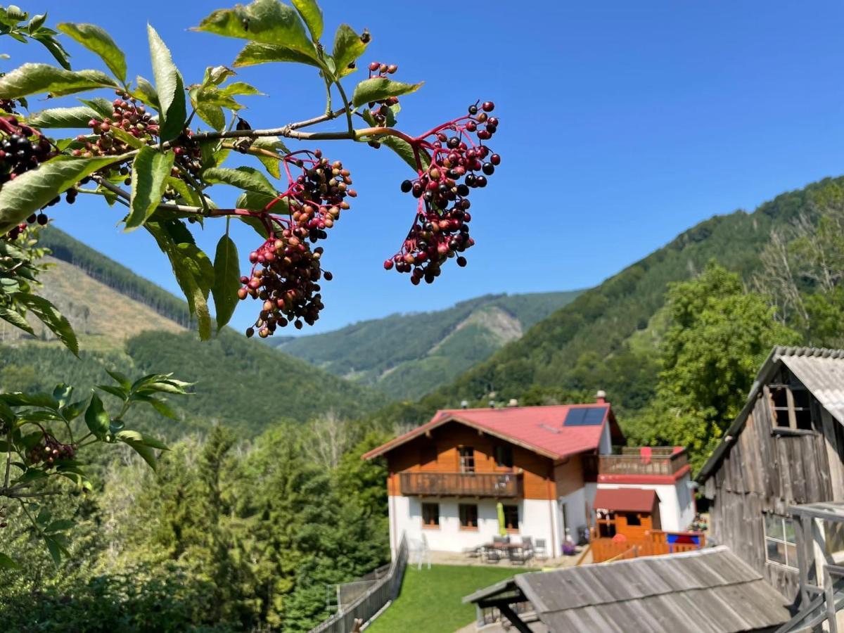 Buechlhof - App. Breitenstein Lilienfeld 외부 사진